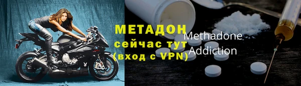 сатива Горняк