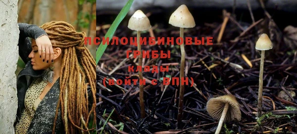 экстази Вяземский