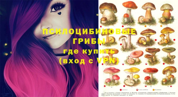 2c-b Вязники