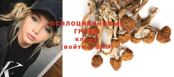 2c-b Вязники